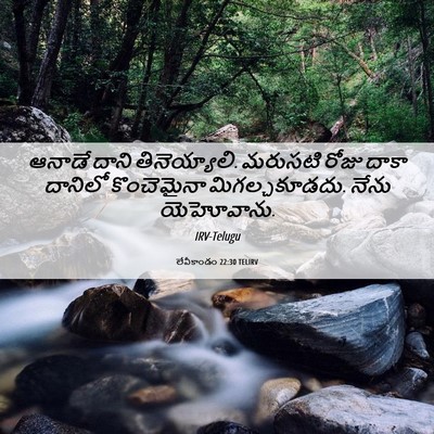 Picture 06 - లేవీకాండం 22:30 TELIRV - ఆనాడే దాని - Bible Verse Picture