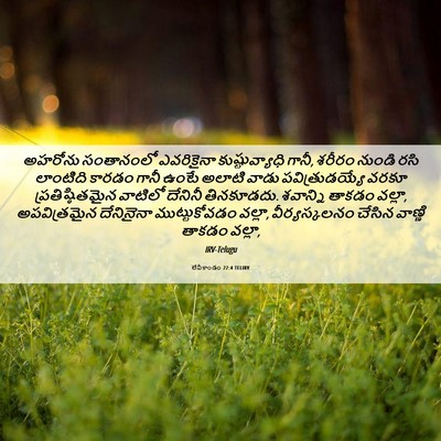 Picture 06 - లేవీకాండం 22:4 TELIRV - అహరోను సంతానంలో - Bible Verse Picture