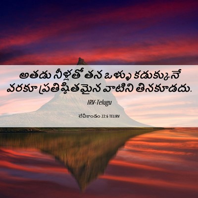 Picture 06 - లేవీకాండం 22:6 TELIRV - అతడు నీళ్లతో తన - Bible Verse Picture
