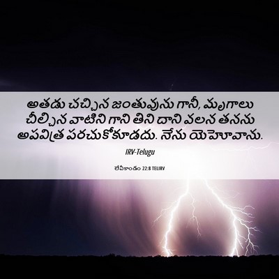 Picture 06 - లేవీకాండం 22:8 TELIRV - అతడు చచ్చిన - Bible Verse Picture