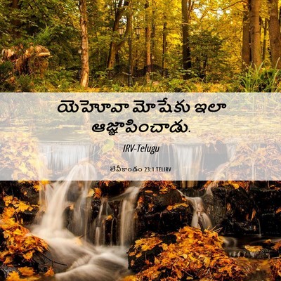 Picture 06 - లేవీకాండం 23:1 TELIRV - యెహోవా మోషేకు ఇలా - Bible Verse Picture