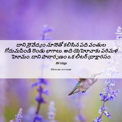 Picture 06 - లేవీకాండం 23:13 TELIRV - దాని నైవేద్యం - Bible Verse Picture