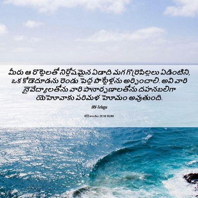 Picture 06 - లేవీకాండం 23:18 TELIRV - మీరు ఆ రొట్టెలతో - Bible Verse Picture