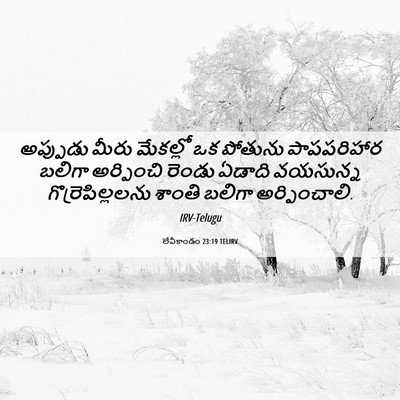 Picture 06 - లేవీకాండం 23:19 TELIRV - అప్పుడు మీరు - Bible Verse Picture
