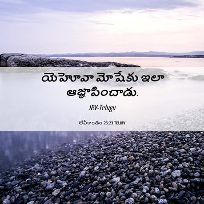 Picture 06 - లేవీకాండం 23:23 TELIRV - యెహోవా మోషేకు ఇలా - Bible Verse Picture