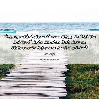 Picture 06 - లేవీకాండం 23:34 TELIRV - “నీవు - Bible Verse Picture