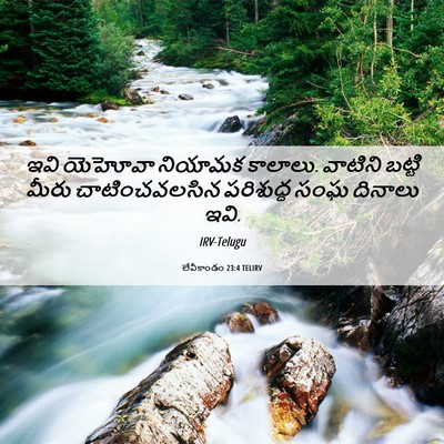 Picture 06 - లేవీకాండం 23:4 TELIRV - ఇవి యెహోవా నియామక - Bible Verse Picture