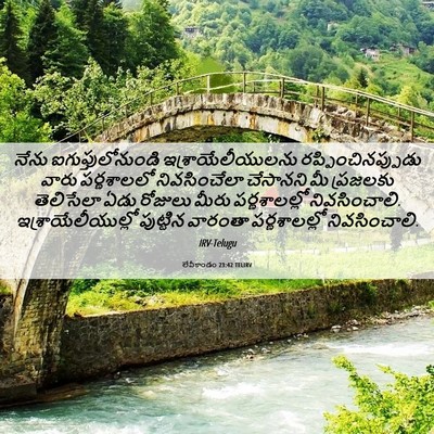 Picture 06 - లేవీకాండం 23:42 TELIRV - నేను - Bible Verse Picture