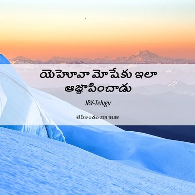 Picture 06 - లేవీకాండం 23:9 TELIRV - యెహోవా మోషేకు ఇలా - Bible Verse Picture