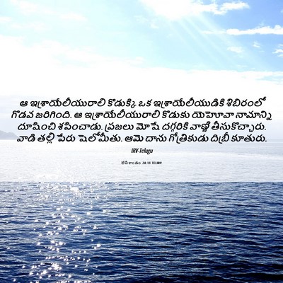 Picture 06 - లేవీకాండం 24:11 TELIRV - ఆ ఇశ్రాయేలీయురాలి - Bible Verse Picture