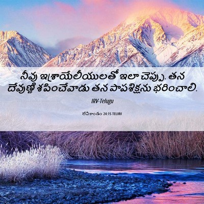Picture 06 - లేవీకాండం 24:15 TELIRV - నీవు - Bible Verse Picture