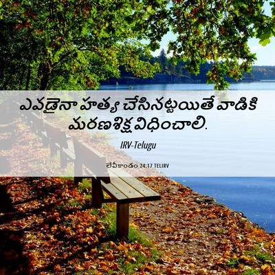 Picture 06 - లేవీకాండం 24:17 TELIRV - ఎవడైనా హత్య - Bible Verse Picture