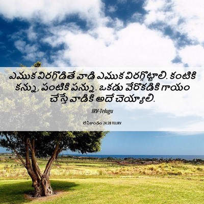 Picture 06 - లేవీకాండం 24:20 TELIRV - ఎముక విరగ్గొడితే - Bible Verse Picture