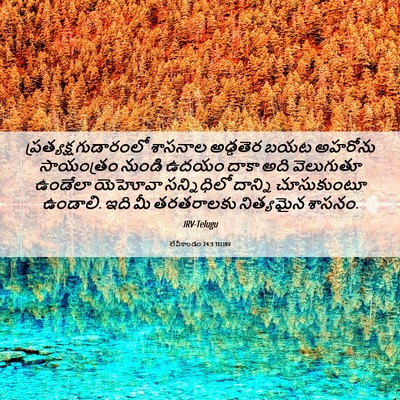 Picture 06 - లేవీకాండం 24:3 TELIRV - ప్రత్యక్ష - Bible Verse Picture