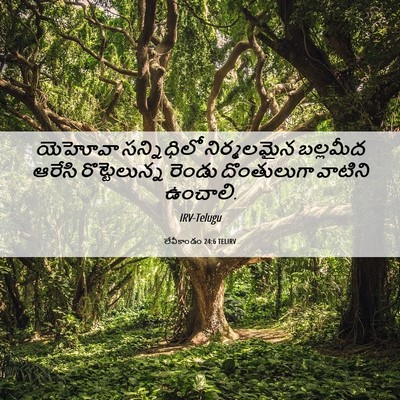 Picture 06 - లేవీకాండం 24:6 TELIRV - యెహోవా సన్నిధిలో - Bible Verse Picture