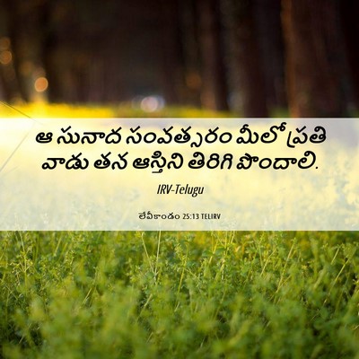Picture 06 - లేవీకాండం 25:13 TELIRV - ఆ సునాద సంవత్సరం - Bible Verse Picture