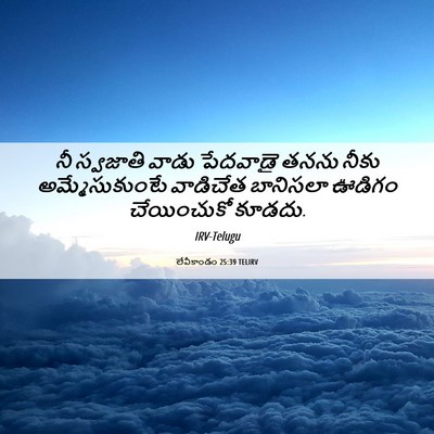 Picture 06 - లేవీకాండం 25:39 TELIRV - నీ స్వజాతి వాడు - Bible Verse Picture