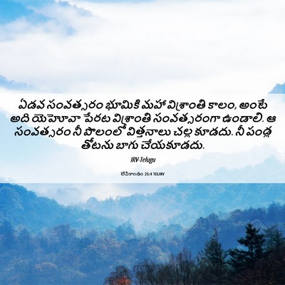 Picture 06 - లేవీకాండం 25:4 TELIRV - ఏడవ సంవత్సరం - Bible Verse Picture