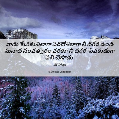Picture 06 - లేవీకాండం 25:40 TELIRV - వాడు సేవకునిలాగా - Bible Verse Picture