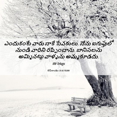 Picture 06 - లేవీకాండం 25:42 TELIRV - ఎందుకంటే వారు - Bible Verse Picture