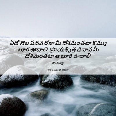 Picture 06 - లేవీకాండం 25:9 TELIRV - ఏడో నెల పదవ రోజు మీ - Bible Verse Picture