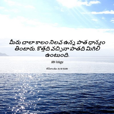 Picture 06 - లేవీకాండం 26:10 TELIRV - మీరు చాలా కాలం - Bible Verse Picture