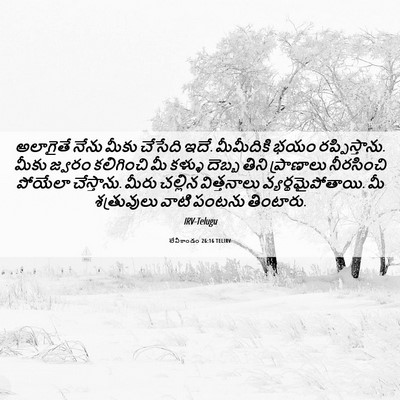 Picture 06 - లేవీకాండం 26:16 TELIRV - అలాగైతే నేను మీకు - Bible Verse Picture