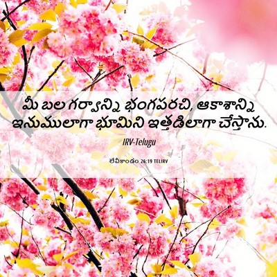 Picture 06 - లేవీకాండం 26:19 TELIRV - మీ బల గర్వాన్ని - Bible Verse Picture