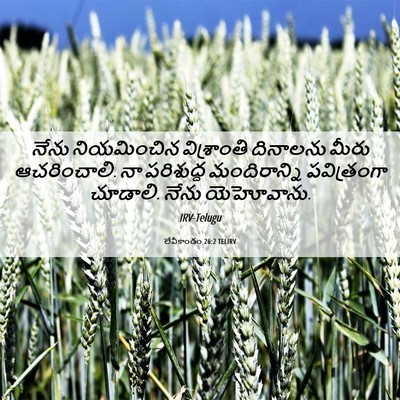 Picture 06 - లేవీకాండం 26:2 TELIRV - నేను నియమించిన - Bible Verse Picture