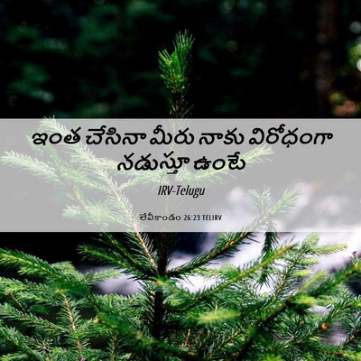 Picture 06 - లేవీకాండం 26:23 TELIRV - ఇంత చేసినా మీరు - Bible Verse Picture