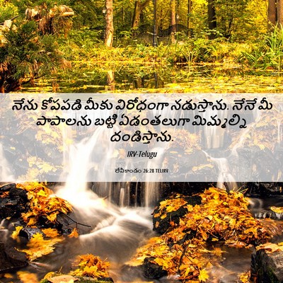 Picture 06 - లేవీకాండం 26:28 TELIRV - నేను కోపపడి మీకు - Bible Verse Picture