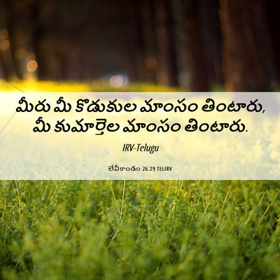 Picture 06 - లేవీకాండం 26:29 TELIRV - మీరు మీ కొడుకుల - Bible Verse Picture