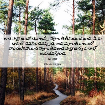 Picture 06 - లేవీకాండం 26:35 TELIRV - అది పాడై ఉండే - Bible Verse Picture
