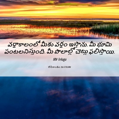 Picture 06 - లేవీకాండం 26:4 TELIRV - వర్షాకాలంలో మీకు - Bible Verse Picture