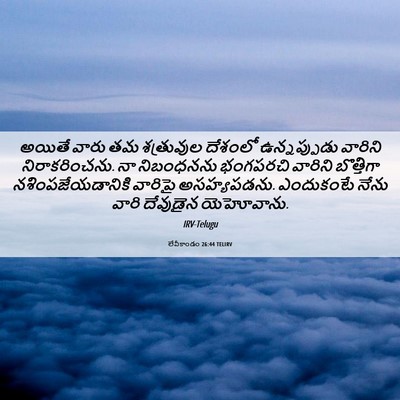 Picture 06 - లేవీకాండం 26:44 TELIRV - అయితే వారు తమ - Bible Verse Picture