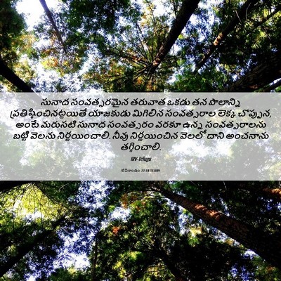 Picture 06 - లేవీకాండం 27:18 TELIRV - సునాద సంవత్సరమైన - Bible Verse Picture