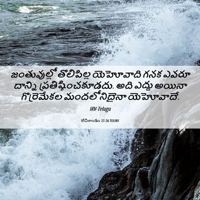 Picture 06 - లేవీకాండం 27:26 TELIRV - జంతువుల్లో - Bible Verse Picture