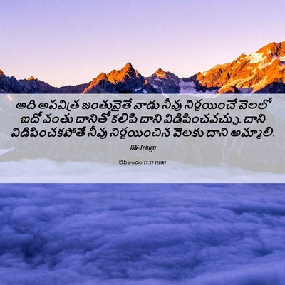 Picture 06 - లేవీకాండం 27:27 TELIRV - అది అపవిత్ర - Bible Verse Picture