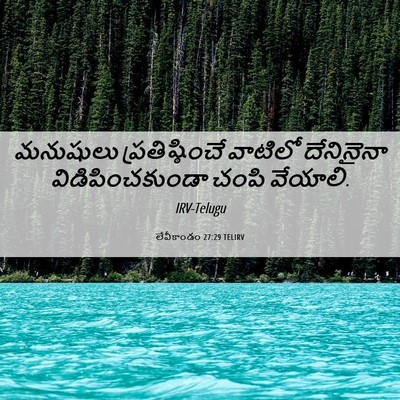 Picture 06 - లేవీకాండం 27:29 TELIRV - మనుషులు - Bible Verse Picture