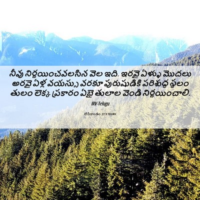 Picture 06 - లేవీకాండం 27:3 TELIRV - నీవు - Bible Verse Picture