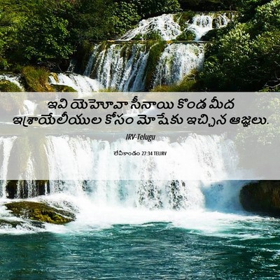 Picture 06 - లేవీకాండం 27:34 TELIRV - ఇవి యెహోవా సీనాయి - Bible Verse Picture