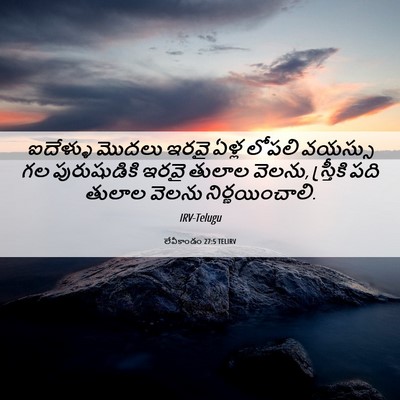 Picture 06 - లేవీకాండం 27:5 TELIRV - ఐదేళ్ళు మొదలు - Bible Verse Picture
