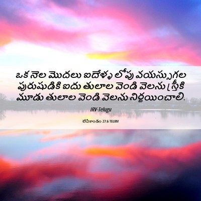 Picture 06 - లేవీకాండం 27:6 TELIRV - ఒక నెల మొదలు - Bible Verse Picture