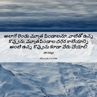 Picture 06 - లేవీకాండం 3:15 TELIRV - అలాగే రెండు మూత్ర - Bible Verse Picture