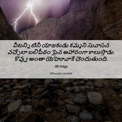 Picture 06 - లేవీకాండం 3:16 TELIRV - వీటన్నిటినీ - Bible Verse Picture