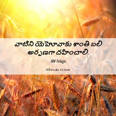 Picture 06 - లేవీకాండం 3:4 TELIRV - వాటిని యెహోవాకు - Bible Verse Picture