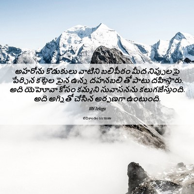 Picture 06 - లేవీకాండం 3:5 TELIRV - అహరోను కొడుకులు - Bible Verse Picture