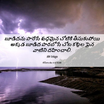 Picture 06 - లేవీకాండం 4:12 TELIRV - బూడిదను పారేసే - Bible Verse Picture