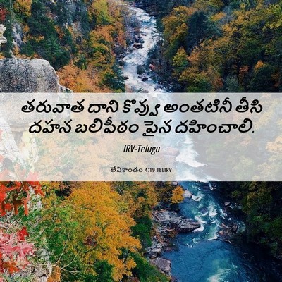 Picture 06 - లేవీకాండం 4:19 TELIRV - తరువాత దాని - Bible Verse Picture