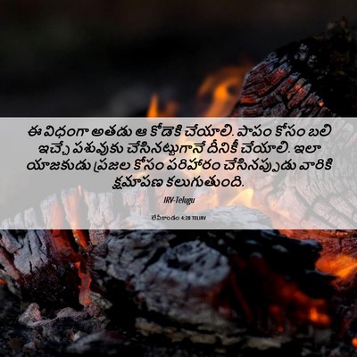 Picture 06 - లేవీకాండం 4:20 TELIRV - ఈ విధంగా అతడు ఆ - Bible Verse Picture